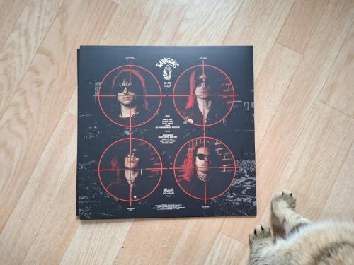 Ravagers - On The Loose