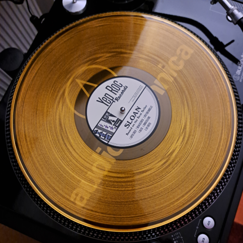 Sloan-BotBS-Pic-4-Vinylhippo