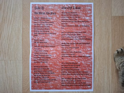 V.A.M. 17 - Vincere Aut Mori