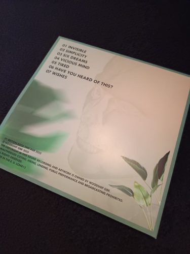 Woodship - Transciency