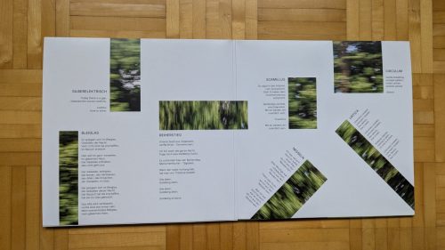 PXL 20251013 143847838