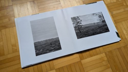 PXL 20251013 143934419