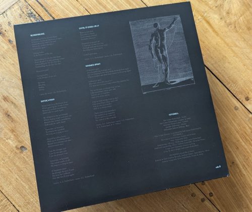 FEVERSEA - MAN UNDER ERASURE