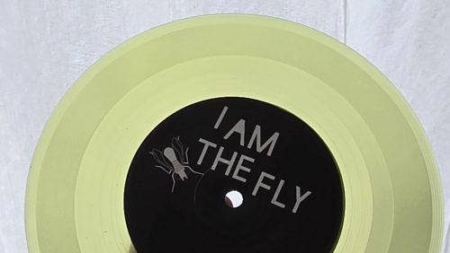 7inch-i-am-the-fly-inertia-03