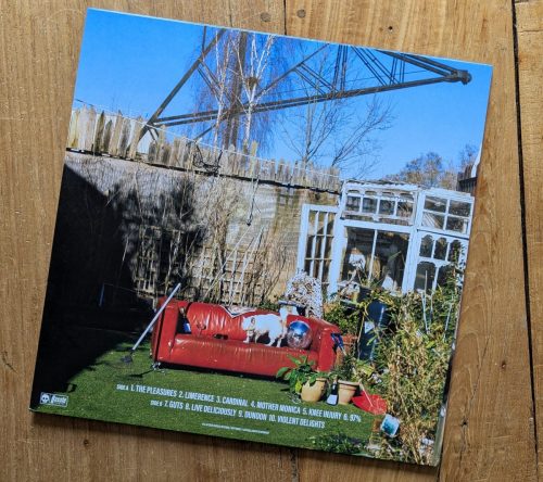 JOOLS - VIOLENT DELIGHTS