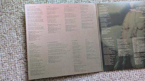 PXL 20250327 112017815