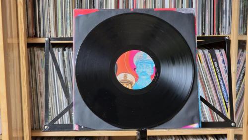 LP-schwindel-tod-dem-diktator-05