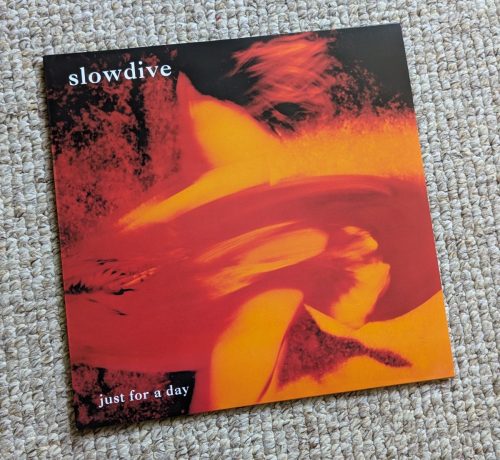 PXL 20250428 113051530