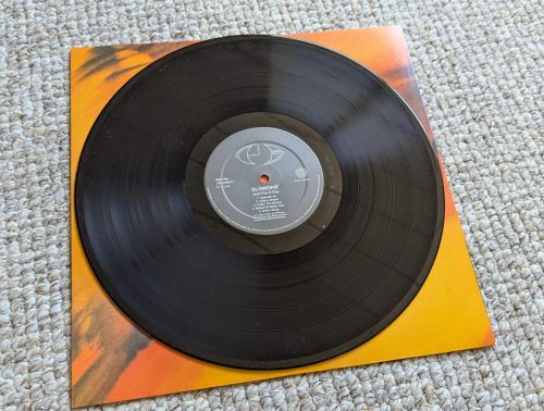 PXL 20250428 113140658